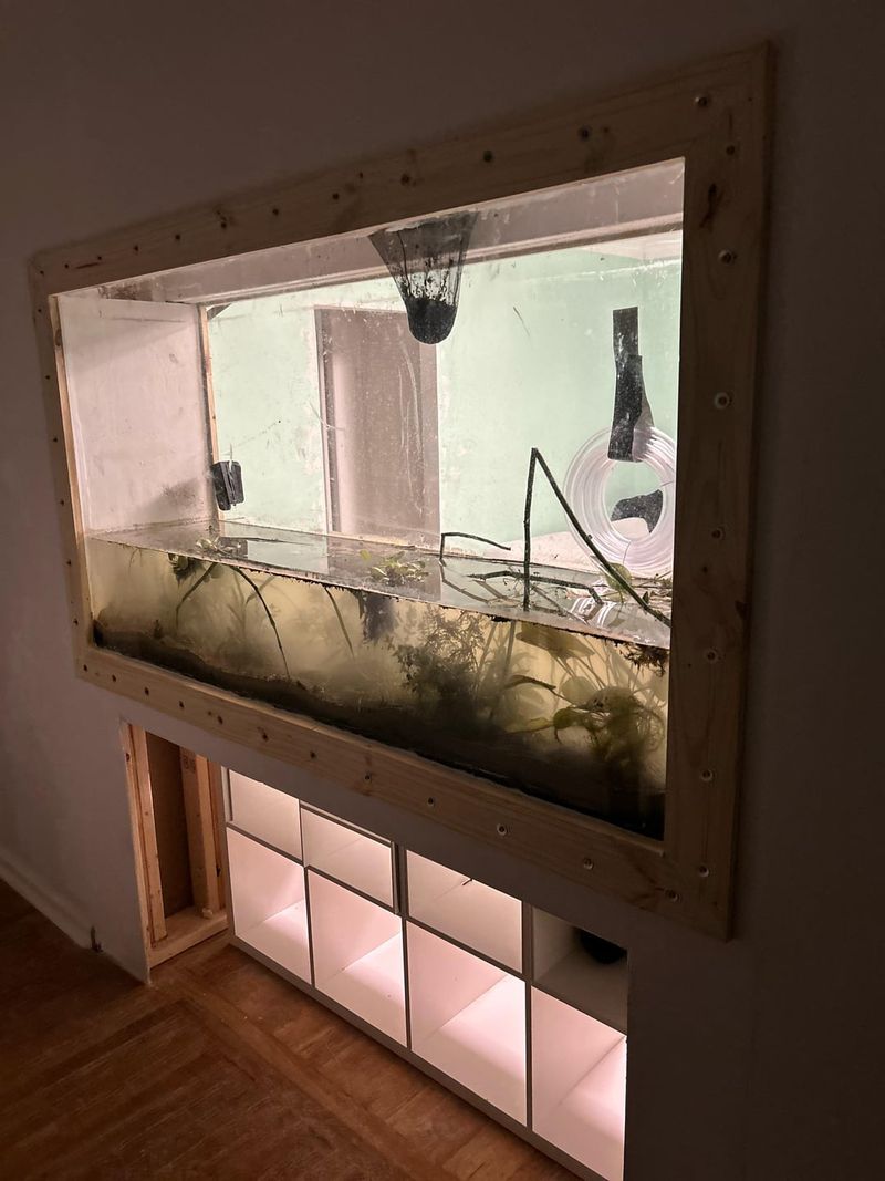 Oversized Aquariums