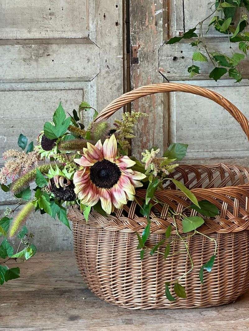 Wicker Baskets