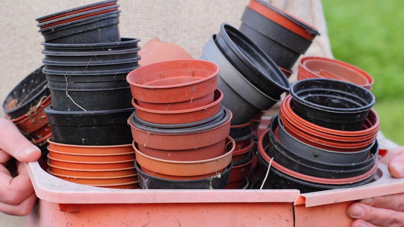 Empty Plant Containers