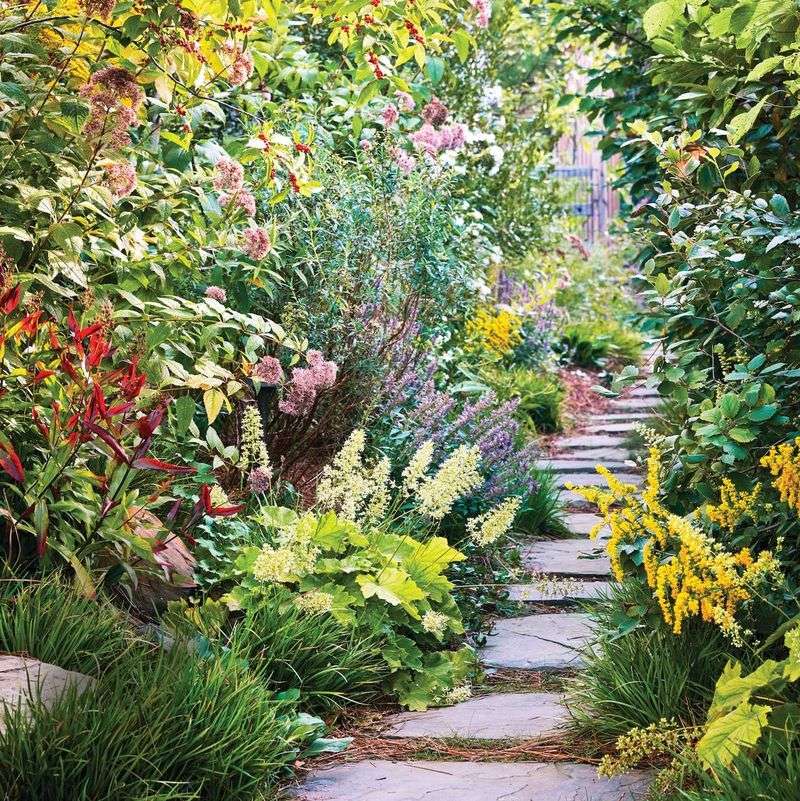 Native Plants
