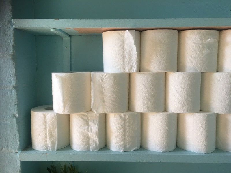 Visible toilet paper storage