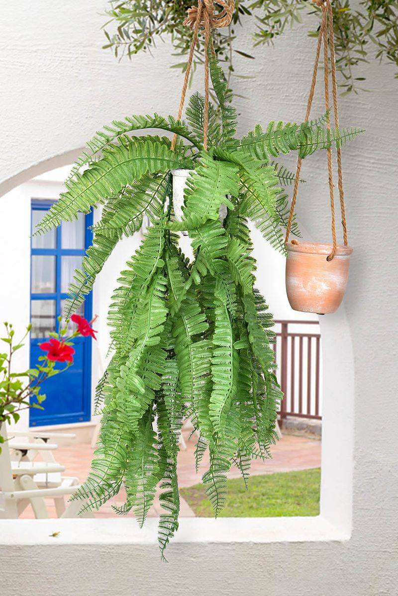 Fake Plants on the Porch