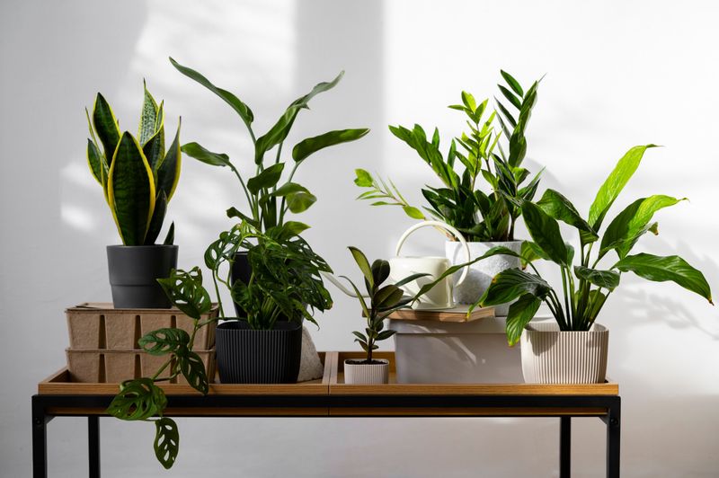 Fake Plants That Fool No One