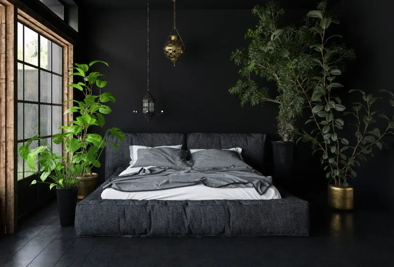 Dramatic Black