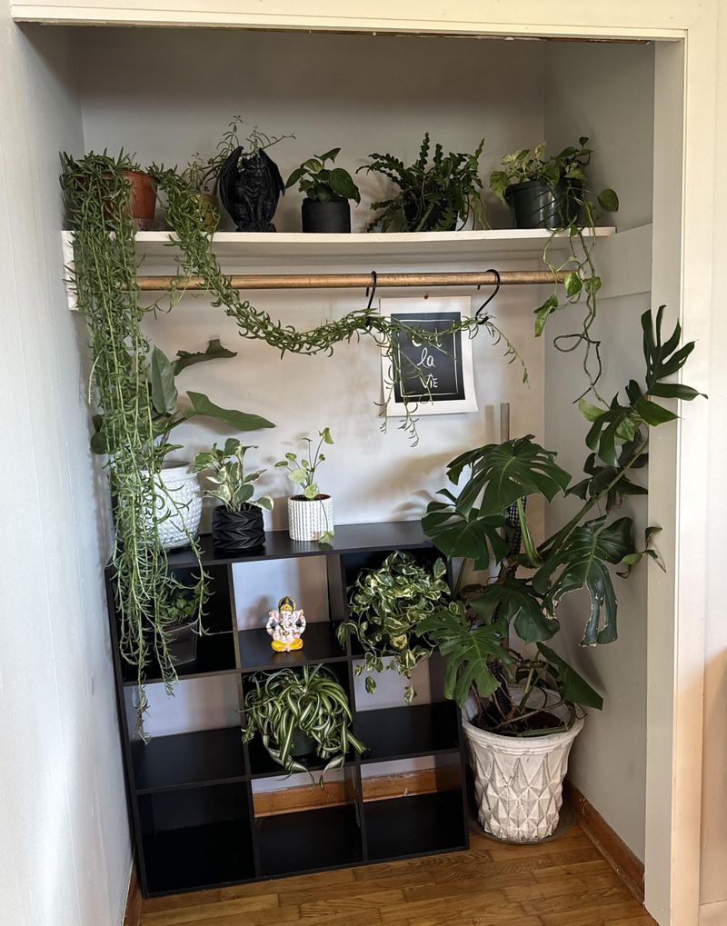 Vertical Garden Oasis