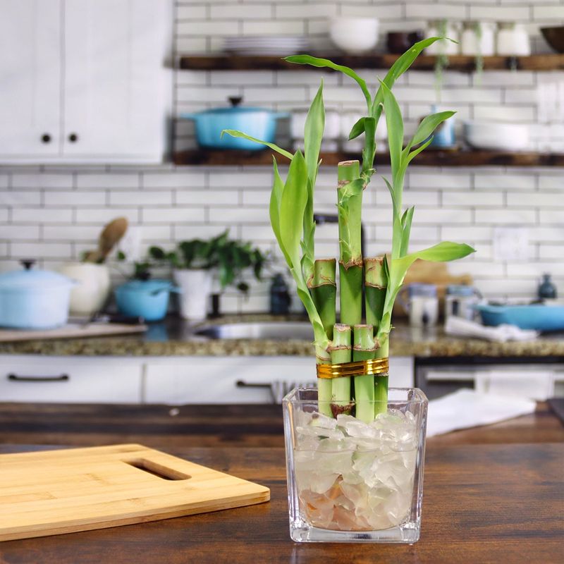 Bamboo Zen Corner