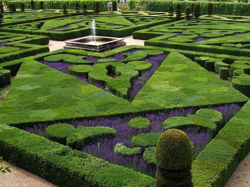 The Art of Parterres