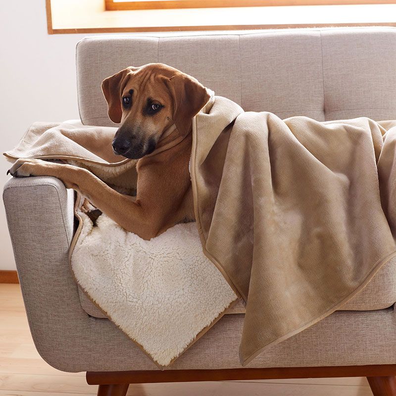 Matching pet and human throw blankets