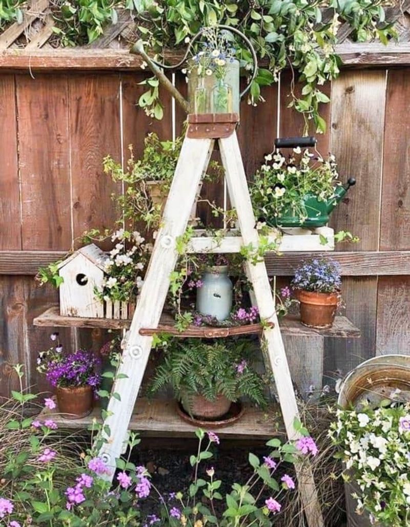 Old Ladders
