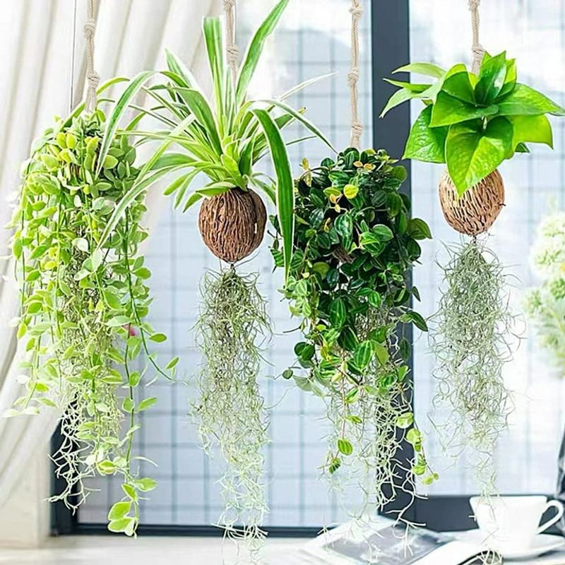 Hanging Planters