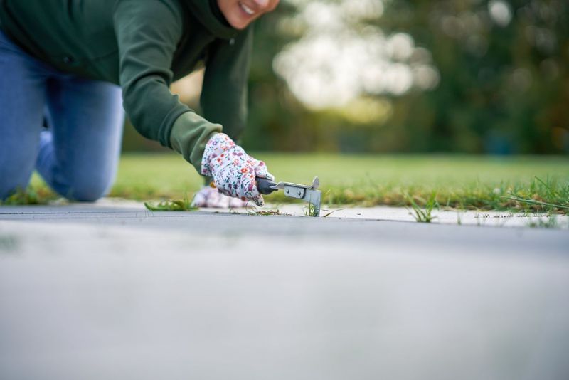 Remove Weeds From Driveway Cracks