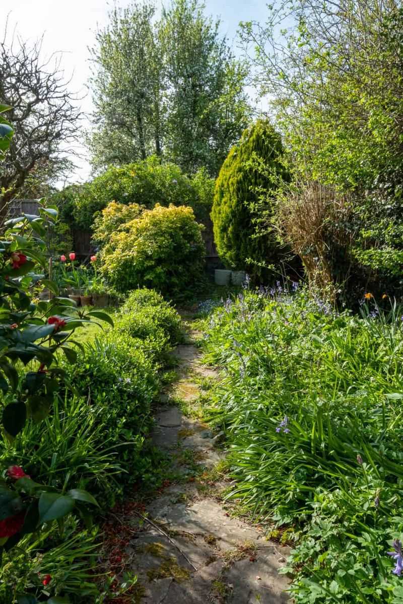 Overgrown Vegetation