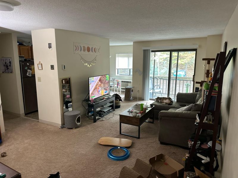 Furniture Blocking Pathways