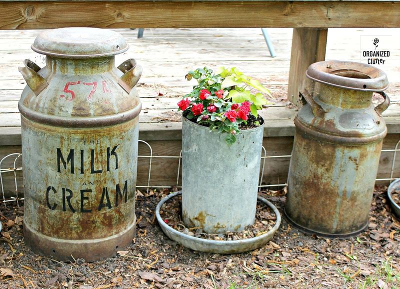 Antique Milk Cans