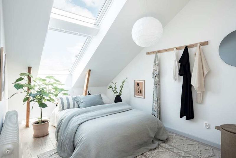 Incorporate Plants That Thrive In Unique Spaces