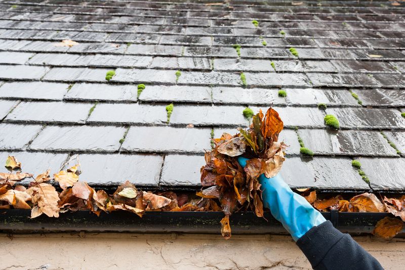 Neglecting Gutter Cleaning
