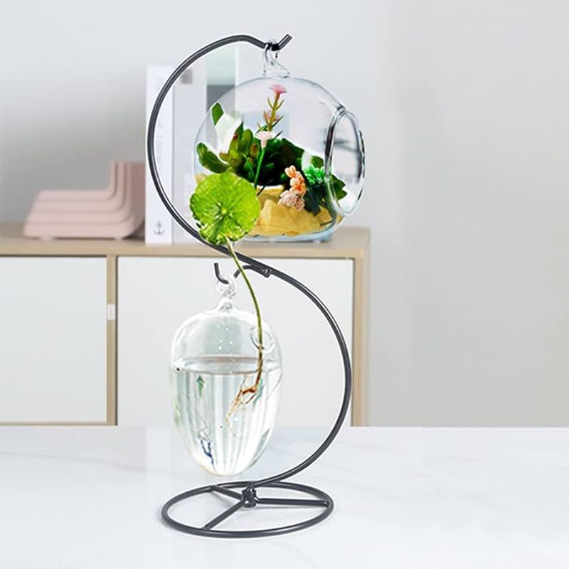 Air Plant Floating Display