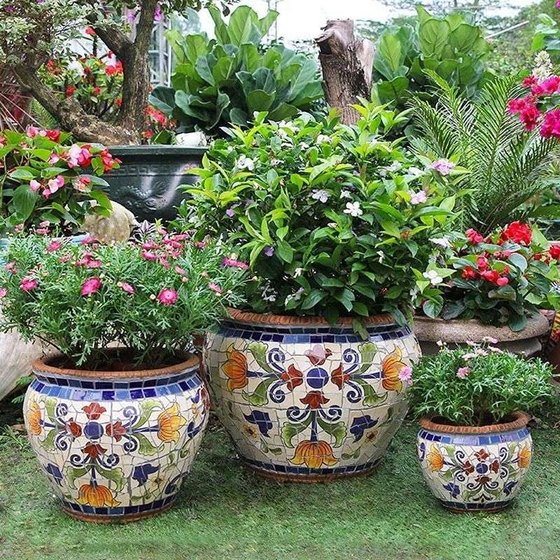 Colorful Ceramics