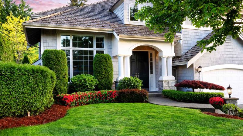 Trim Overgrown Bushes And Hedges