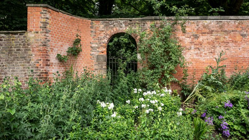 Brick or Stone Walls