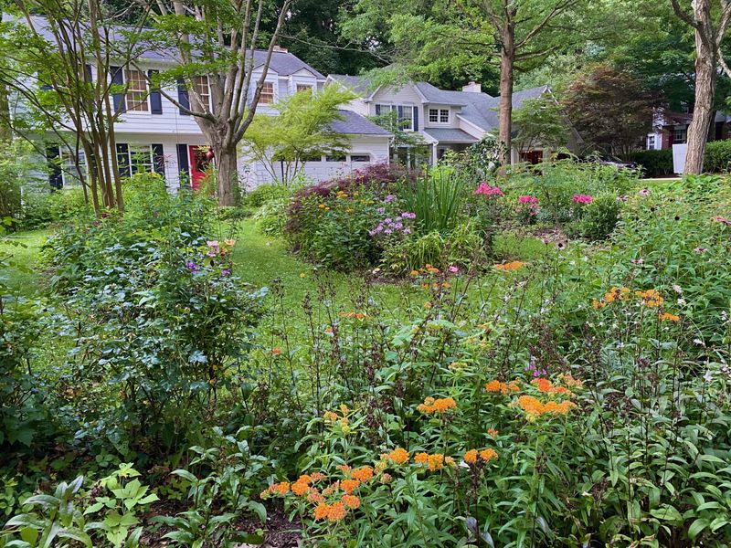 Overgrown Landscaping