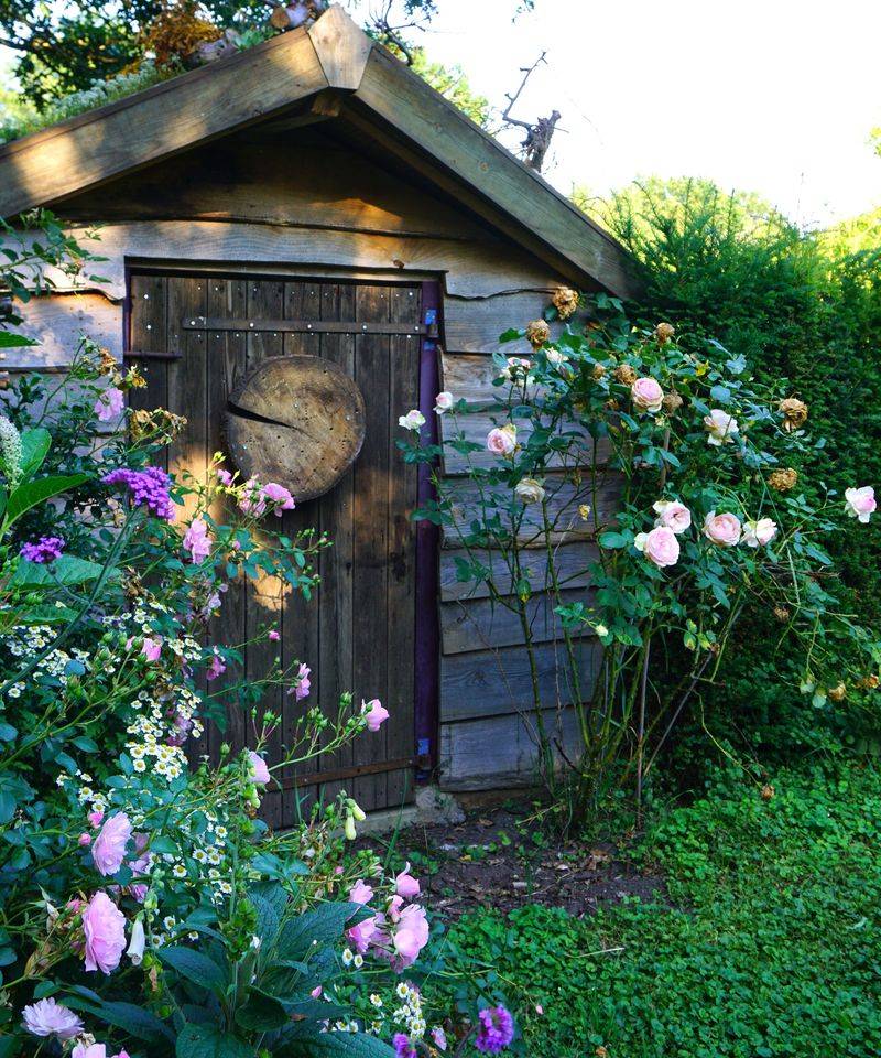 Blend With Landscape Plants