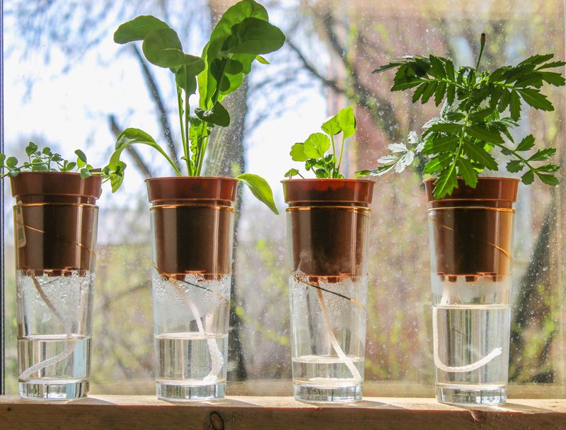 Self-Watering Planters