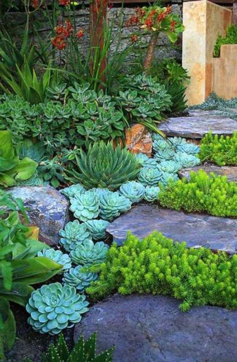Succulent Rock Bowl