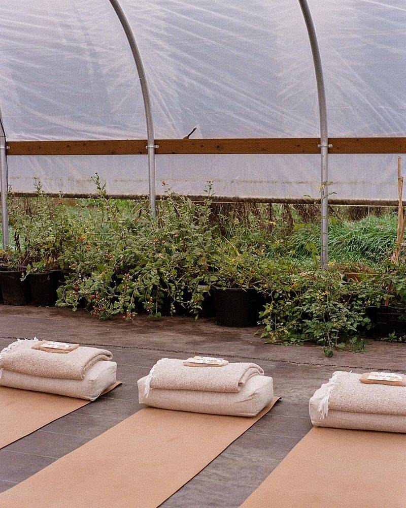 Meditation Sanctuary