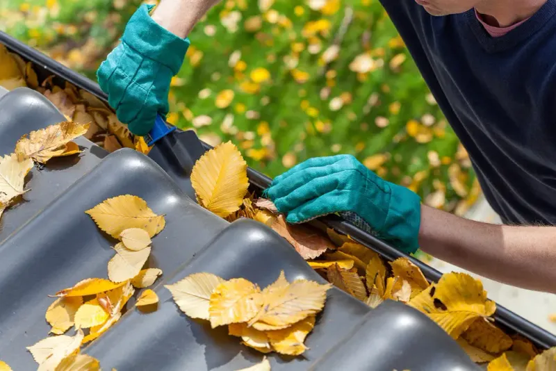 Clean and Repair Gutters
