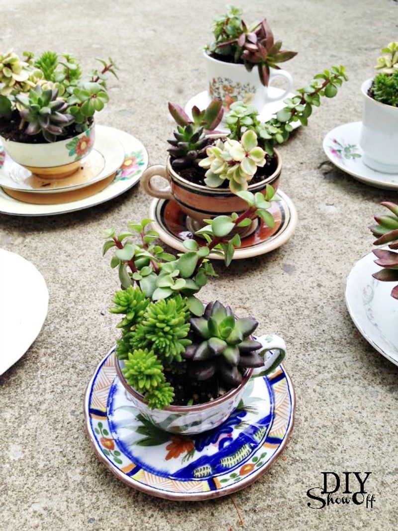 Porcelain Teacups and Saucers