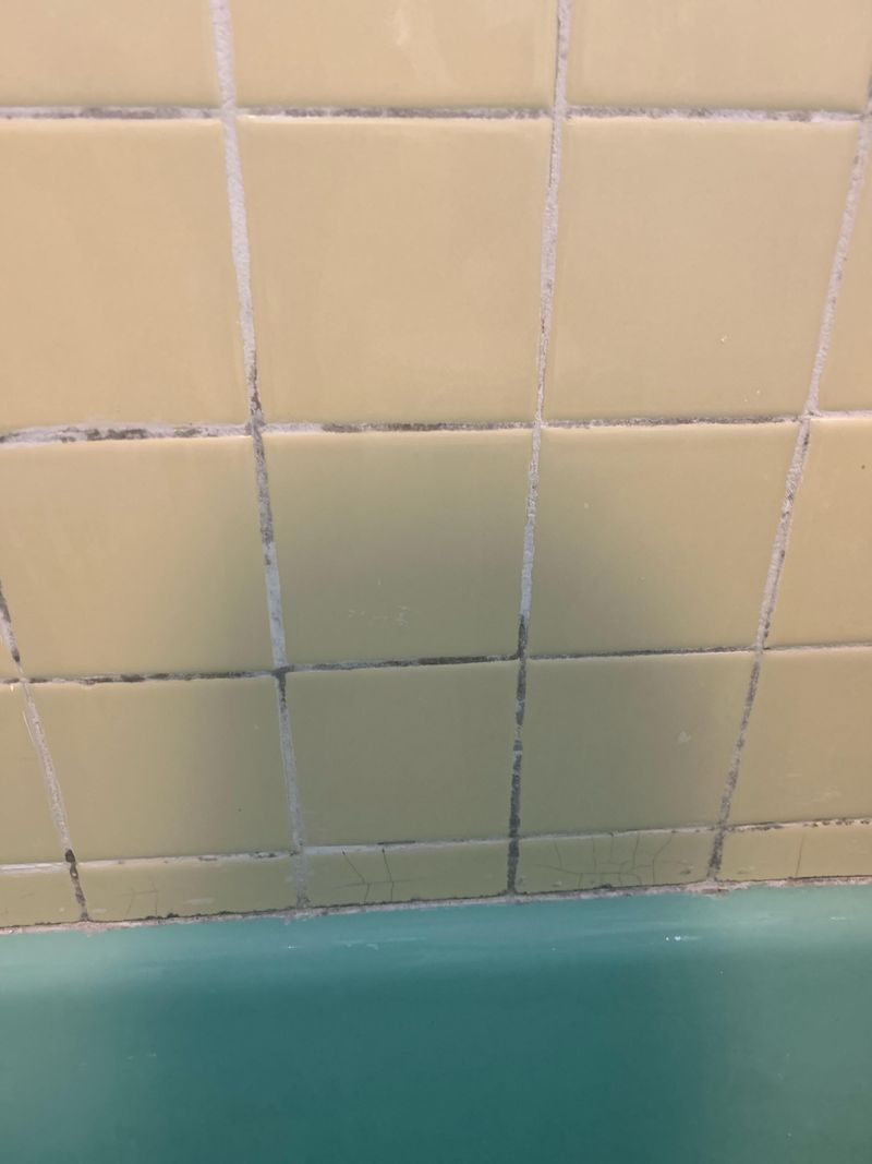 Potential For Grout Discoloration