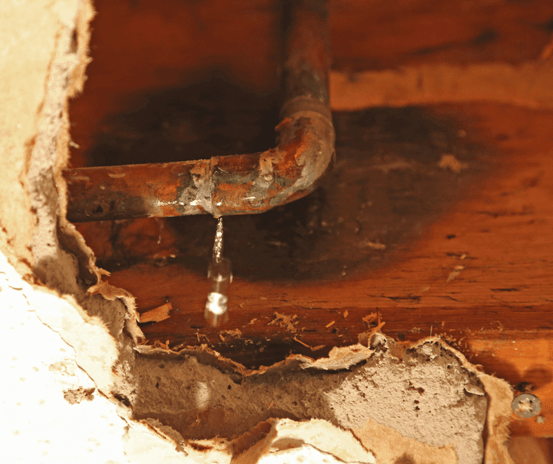 Spotting Hidden Water Leaks