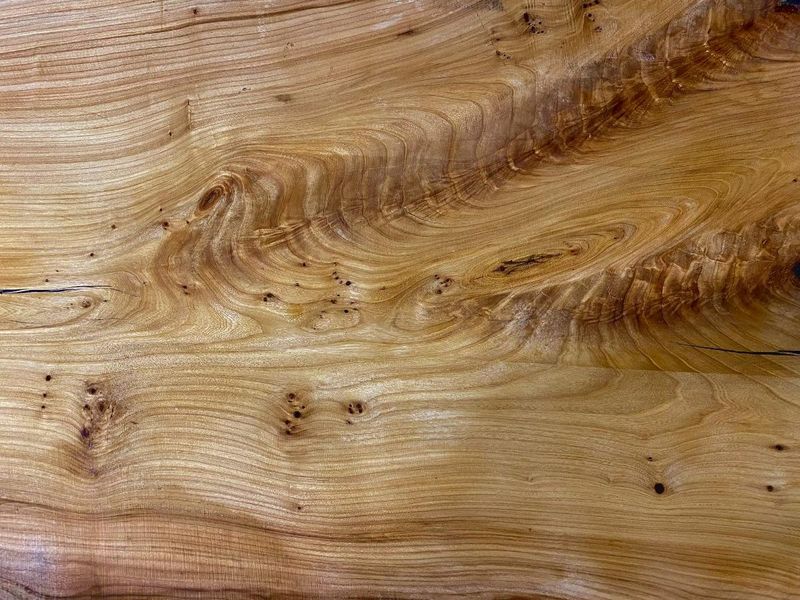 Elm Hardwood