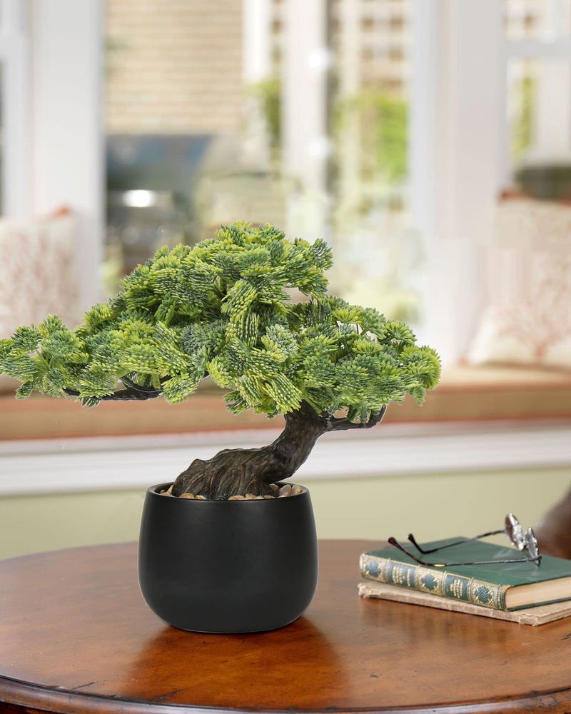 Bonsai Tree 