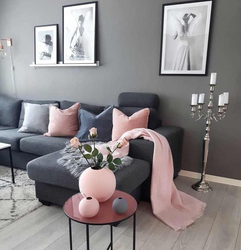 Blush Pink And Charcoal Gray