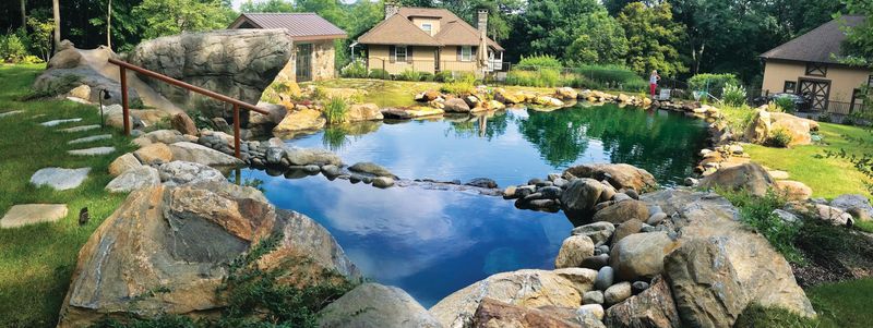 Natural Pool