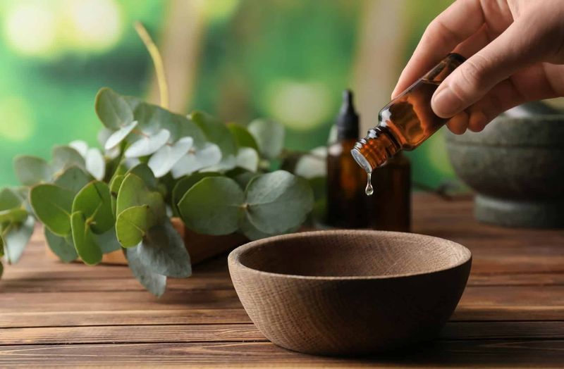 Natural Aromatherapy Integration