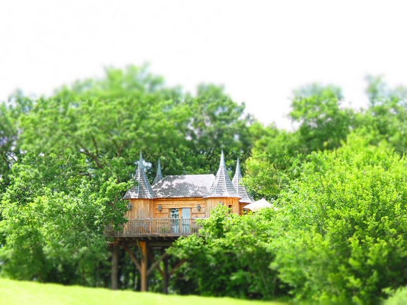 Chateaux Dans Les Arbres France