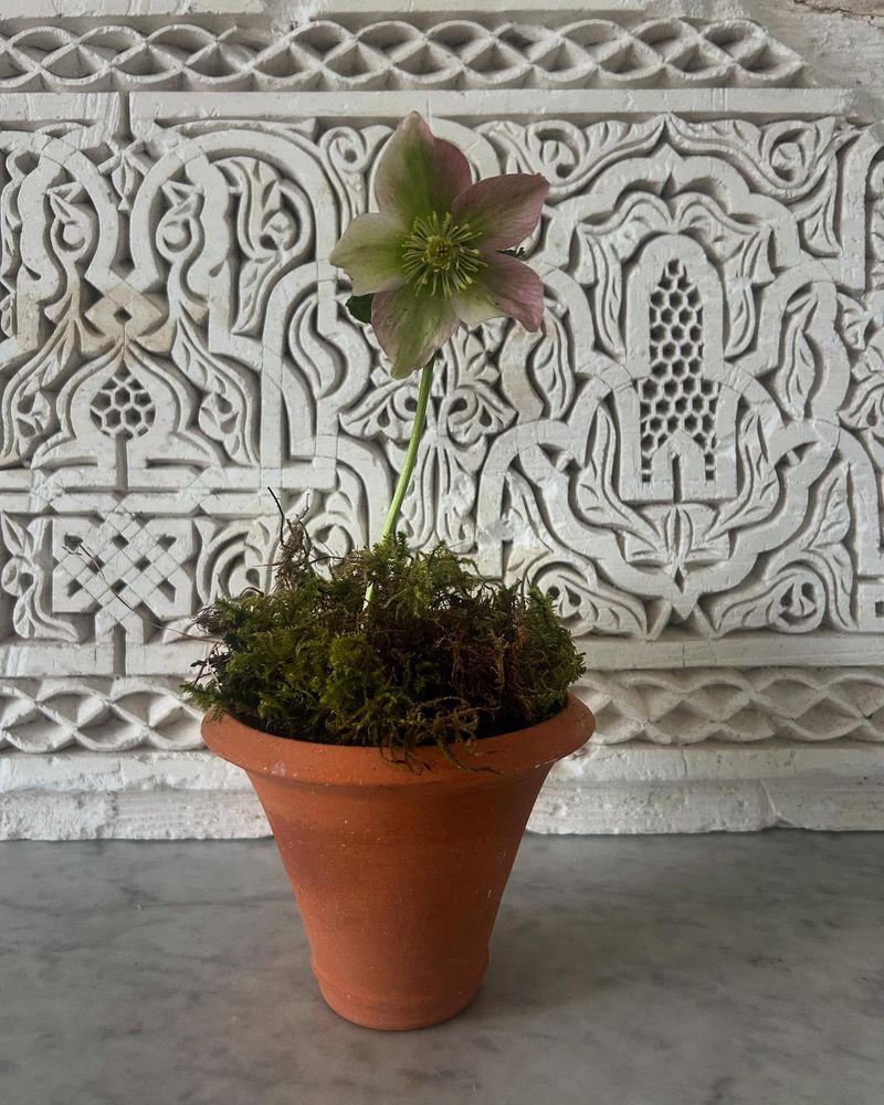 Carved Plaster Ventilation