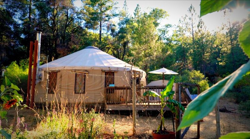 Yurt Sweet Yurt