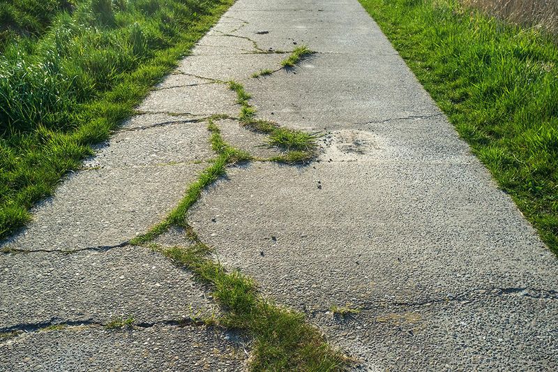 Obstructed or Narrow Pathways