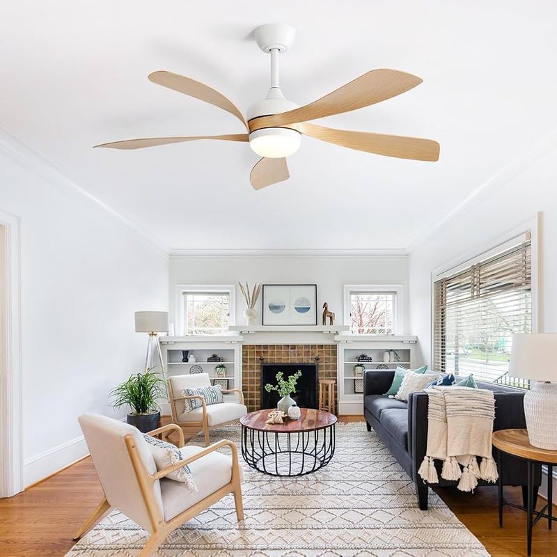 Ceiling Fans