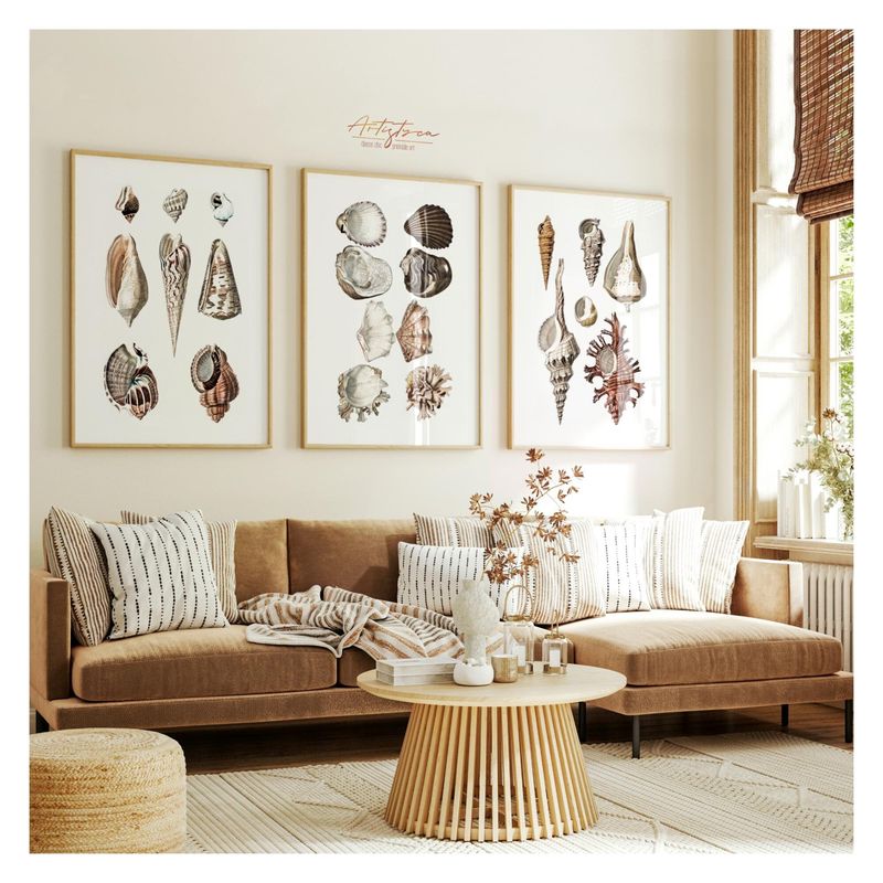 Coral and Shell Decor