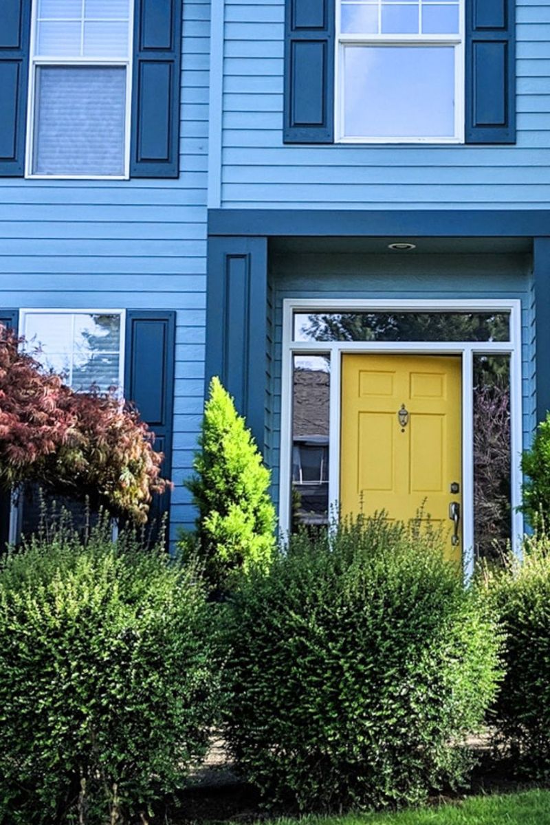Mustard Door + Navy Blue Shutters