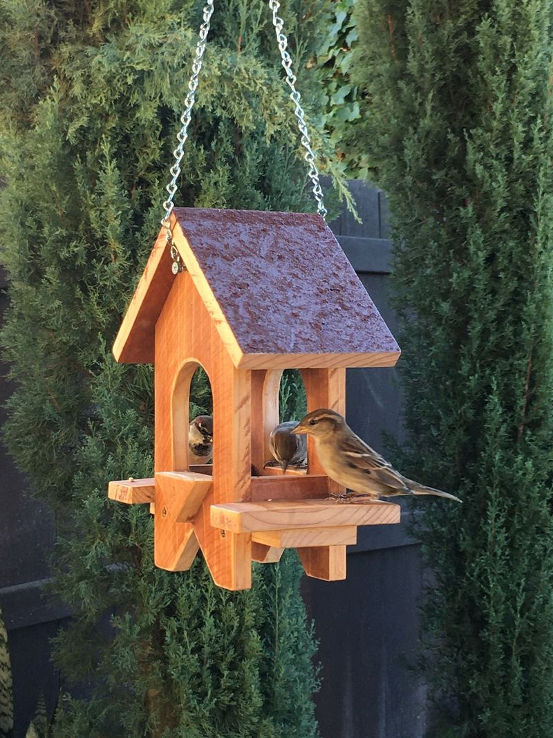 Hanging Bird Feeders