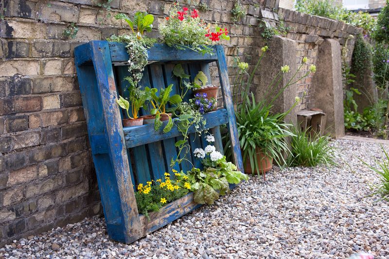 Upcycled Container Garden