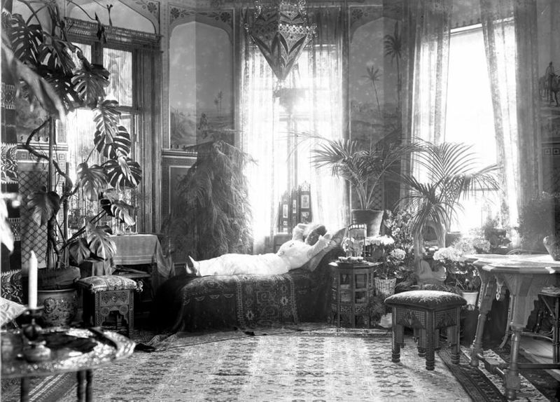 Victorian Europe's Tropical Obsession