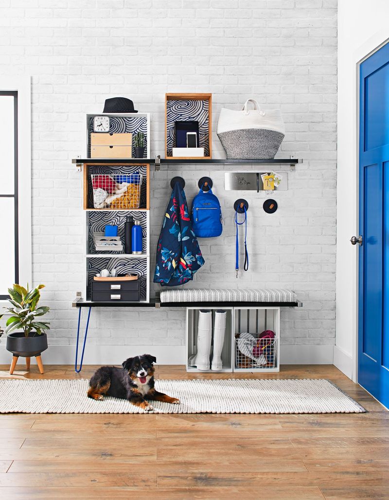 Pet Supplies And Accessories