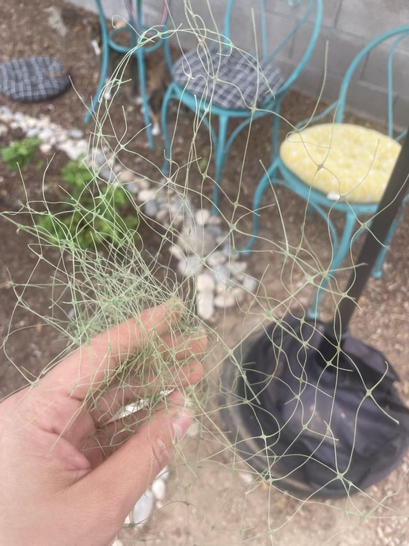 Tangled Garden Netting With Irreparable Holes